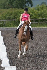 ISIS Dressage Challenge 2008